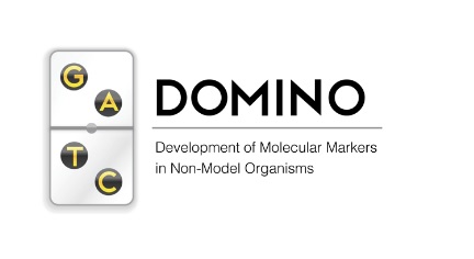 DOMINO és una nova eina bioinformàtica per desenvolupar marcadors moleculars a la carta a partir de dades genòmiques.