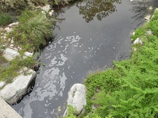 El nou treball alerta sobre el greu impacte ecològic dels efluents d’origen industrial en aquest punt del curs fluvial. Foto: Narcís Prat, UB 