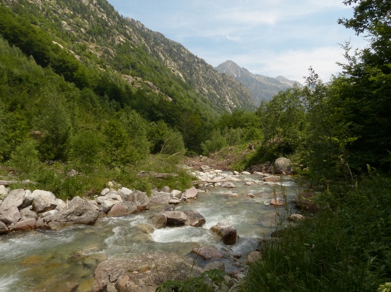 Reservial és un projecte pioner en l’àmbit europeu per protegir els trams de rius de més valor socioambiental a Espanya. Foto: reserva natural fluvial del riu Salenca (Osca), Tony Herrera