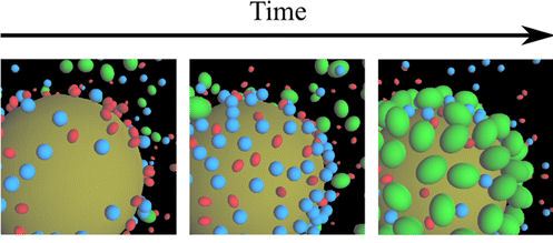 Cinètica de l'absorció de proteïnes en nanopartícules. Vermell: albúmina, blau: transferrina i verd: fibrinògen.