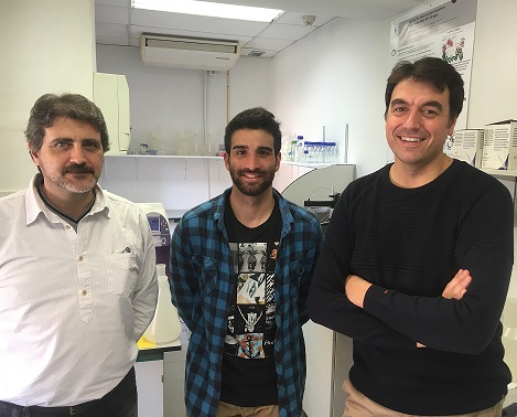D'esquerra a dreta, els investigadors de la UB que han participat en la recerca: Francisco Javier Luque, Sergio Ruiz Carmona i Xavier Barril.