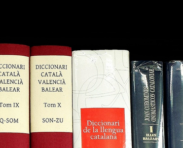 25è  aniversari  del  Col·loqui Lingüístic  de  la  Universitat  de  Barcelona