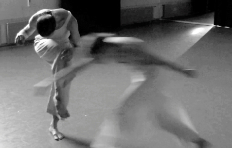 X Cicle de Dansa Contemporània a la UB: Almudena Pardo