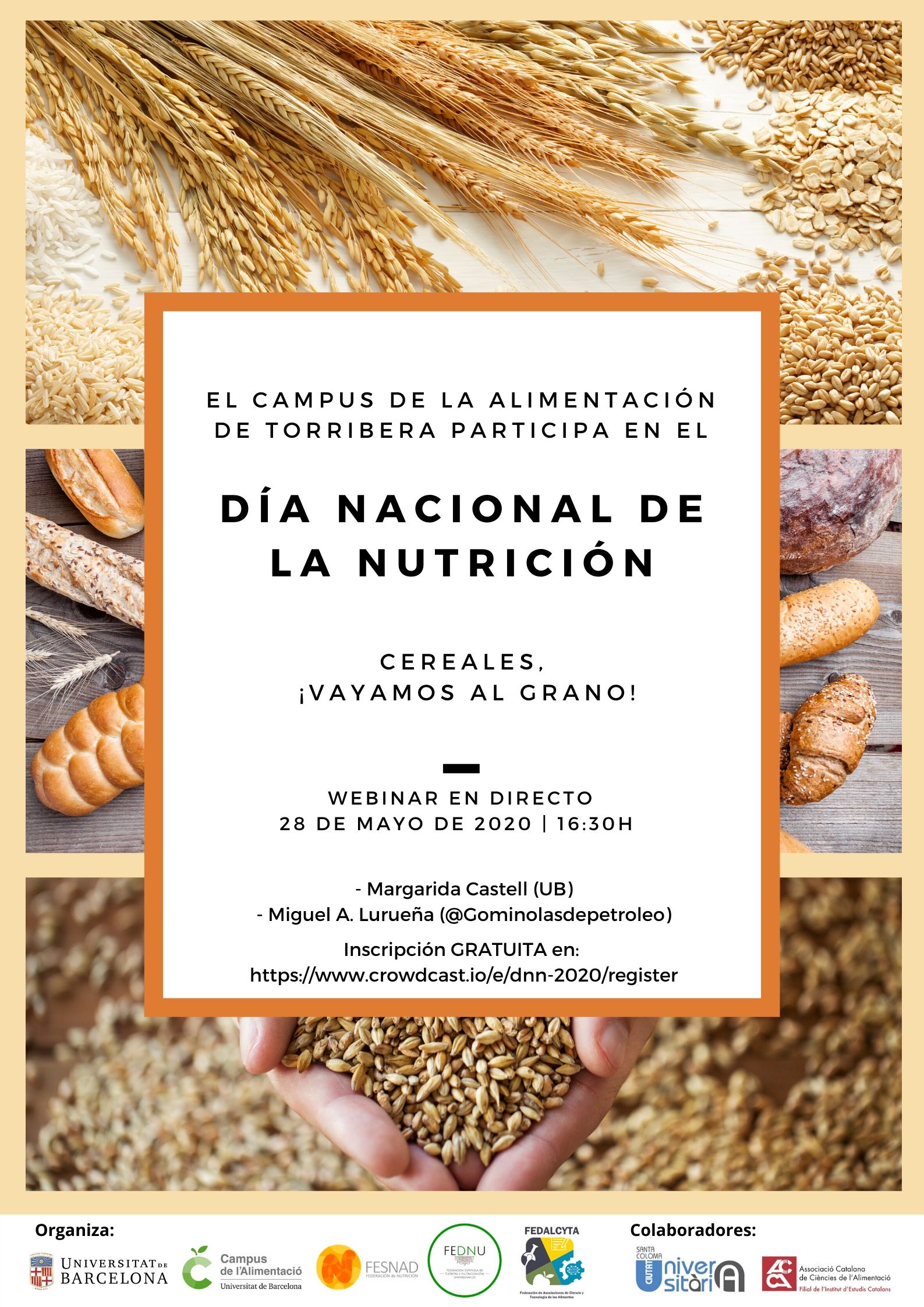 Seminari: «Día Nacional de la Nutrición: Cereales, ¡Vayamos al grano!»