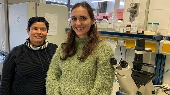 From left to right, the experts Ofelia Martínez Estrada and Marina Ramiro Pareta, from the Department of Cell Biology, Immunology and Physiology of the Faculty of Biology and the IBUB. 