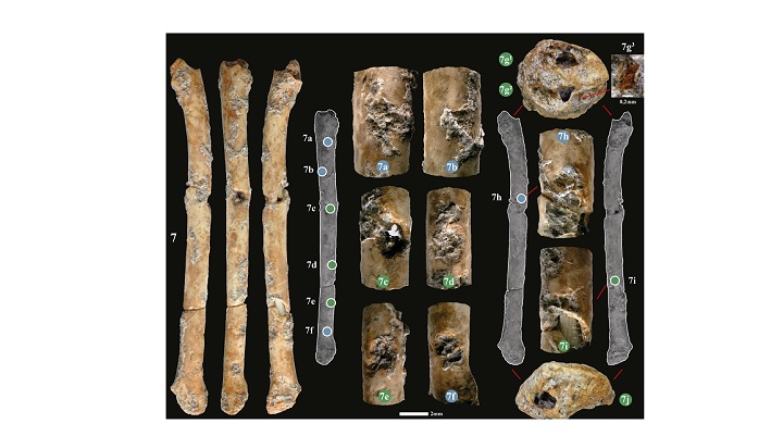 Aeròfons d’os trobats al jaciment natufià d’Eynan (vall del Jordà, Israel).